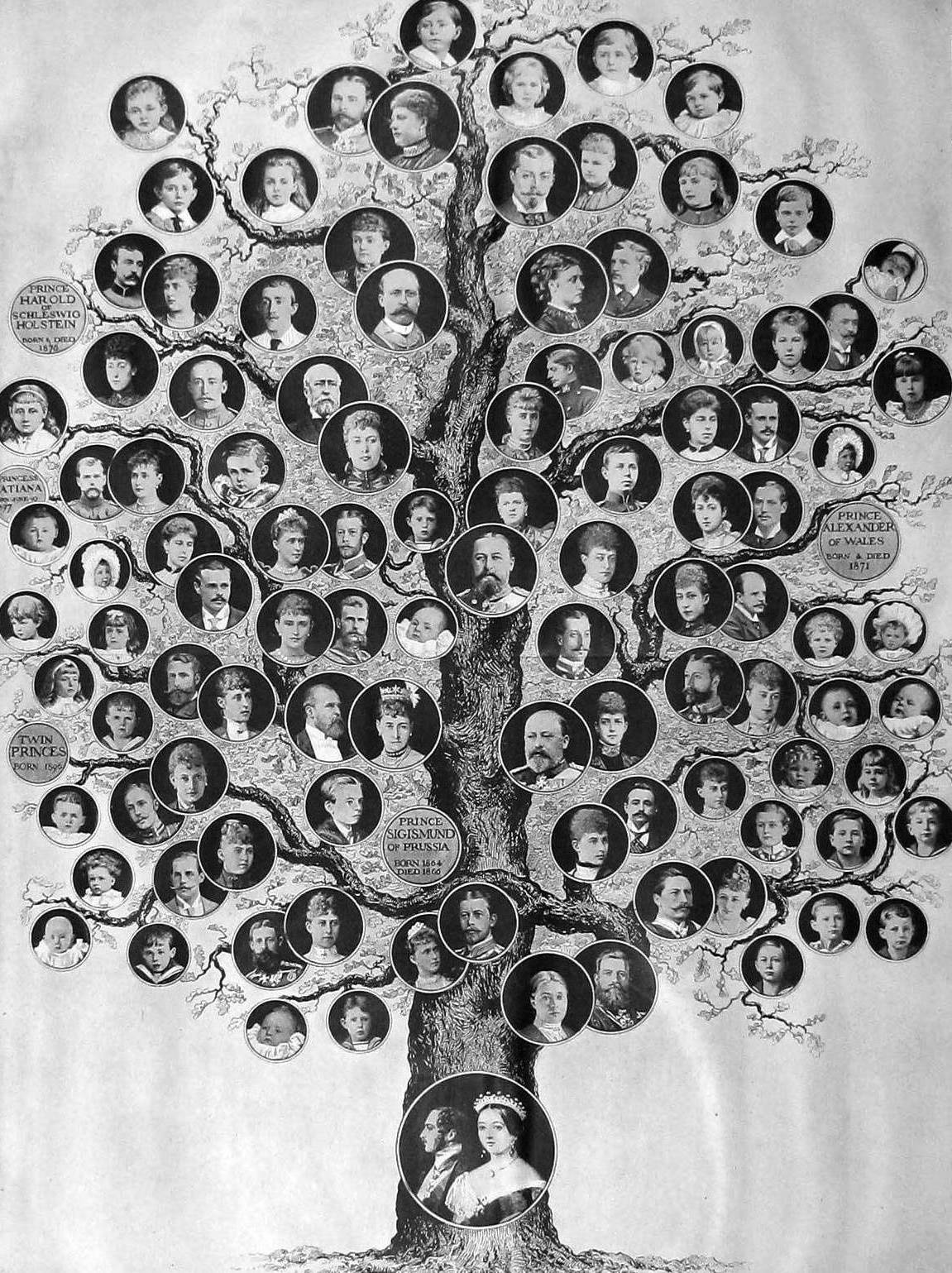 Queen Victoria Genealogy Chart