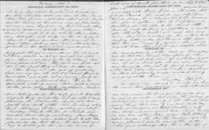 Hedwiga Gray diary1